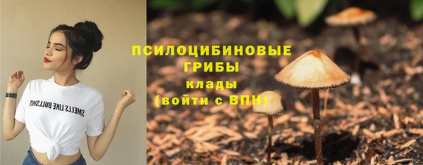мдпв Лиски