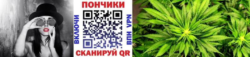 Канабис Bruce Banner  hydra tor  Афипский  даркнет сайт 